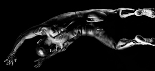 Examples of Avid Light modeling