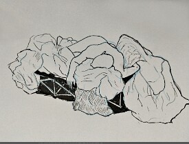 AL_Beachkraft_S02_OlneyMD_30m_UNKN_730652