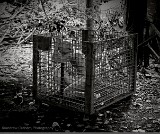 AL_AndrewGraham_S01_CT_0612_r