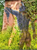 AL_KarlWesley_S01_MD_TheseusProject_c22ec694a2