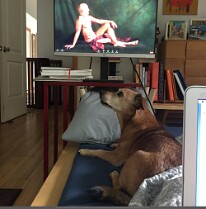 AL_WSS_S007_Online_MartinCamposClass_!BTSbyThereseCruz